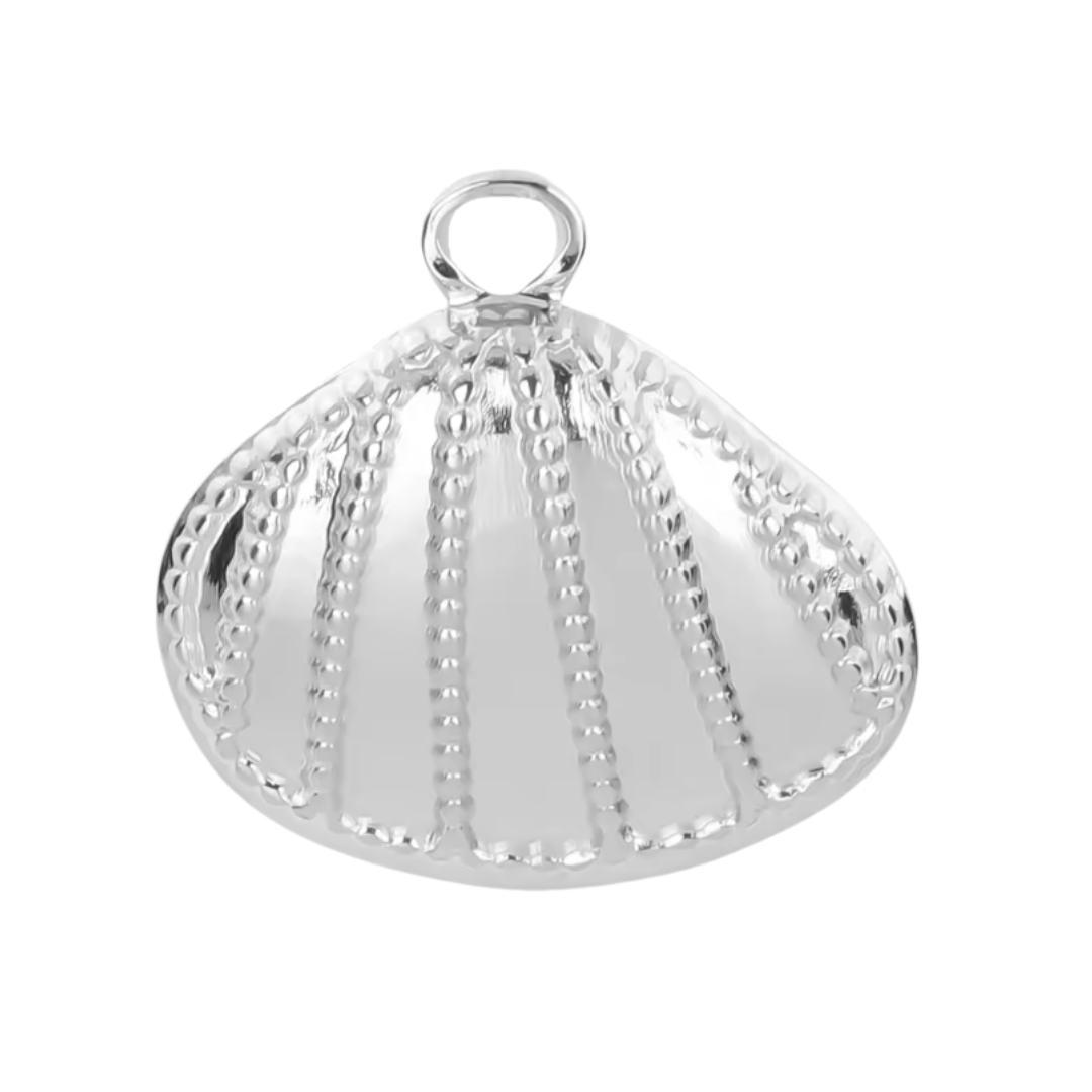 Grand coquillage - Argent