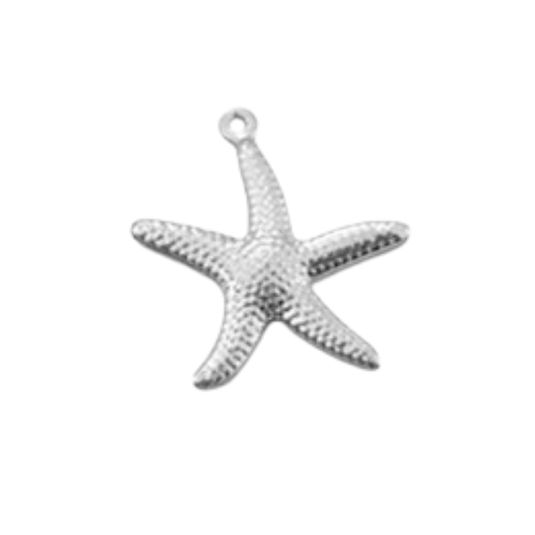Étoile de mer texturée - Argent