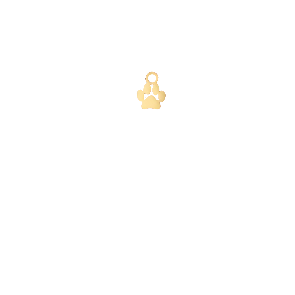 Patte de chien