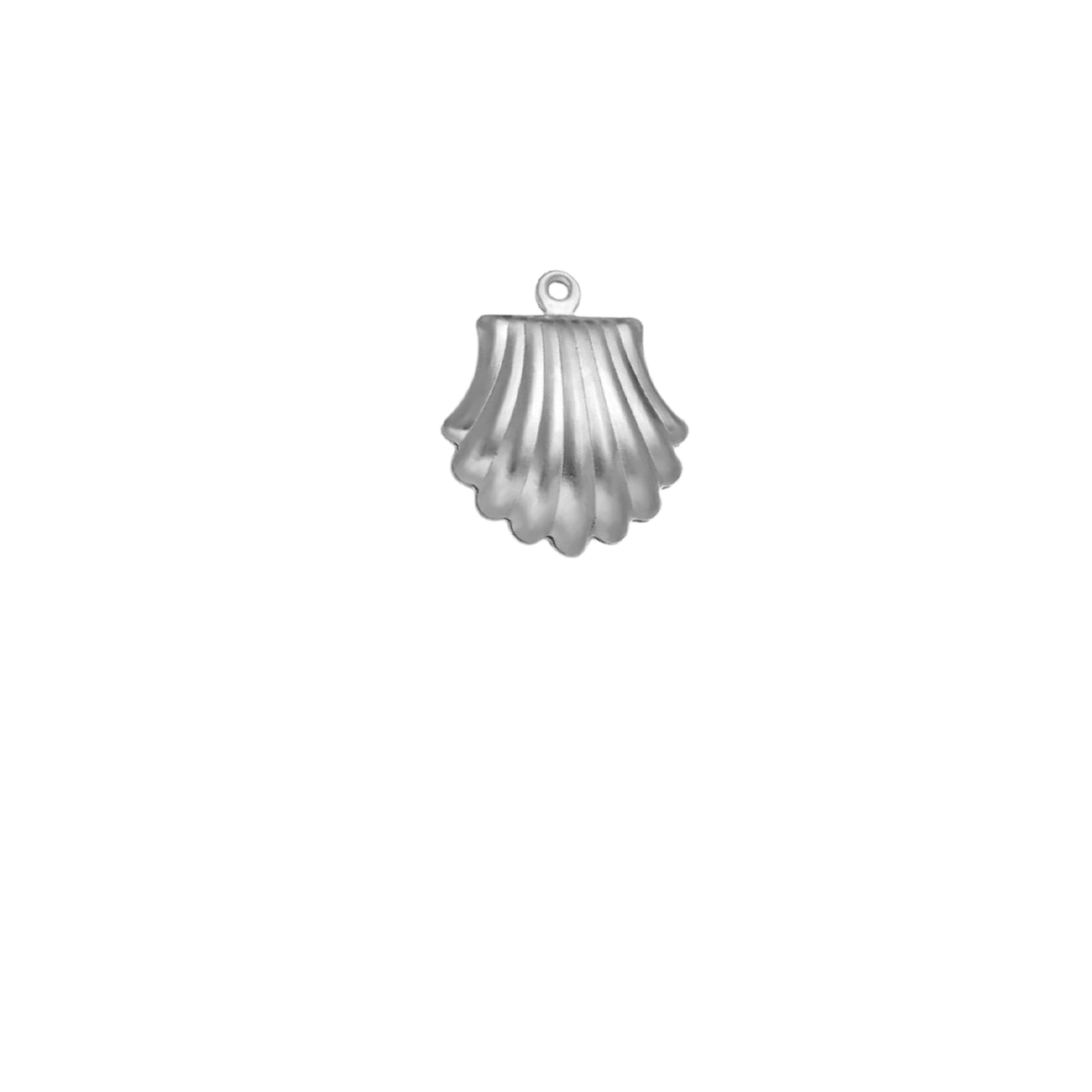 Coquillage relief - Argent