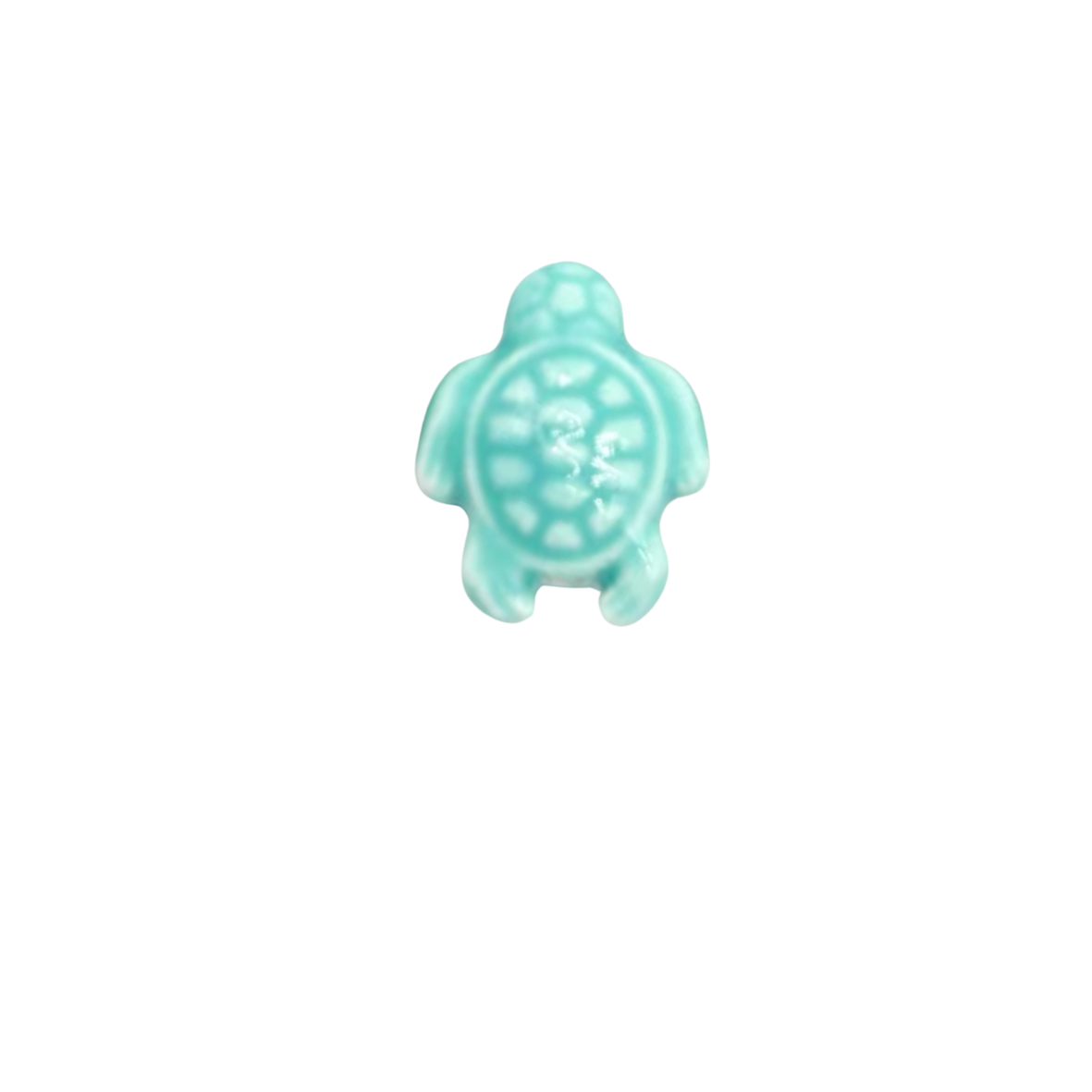 Tortue turquoise - Céramique