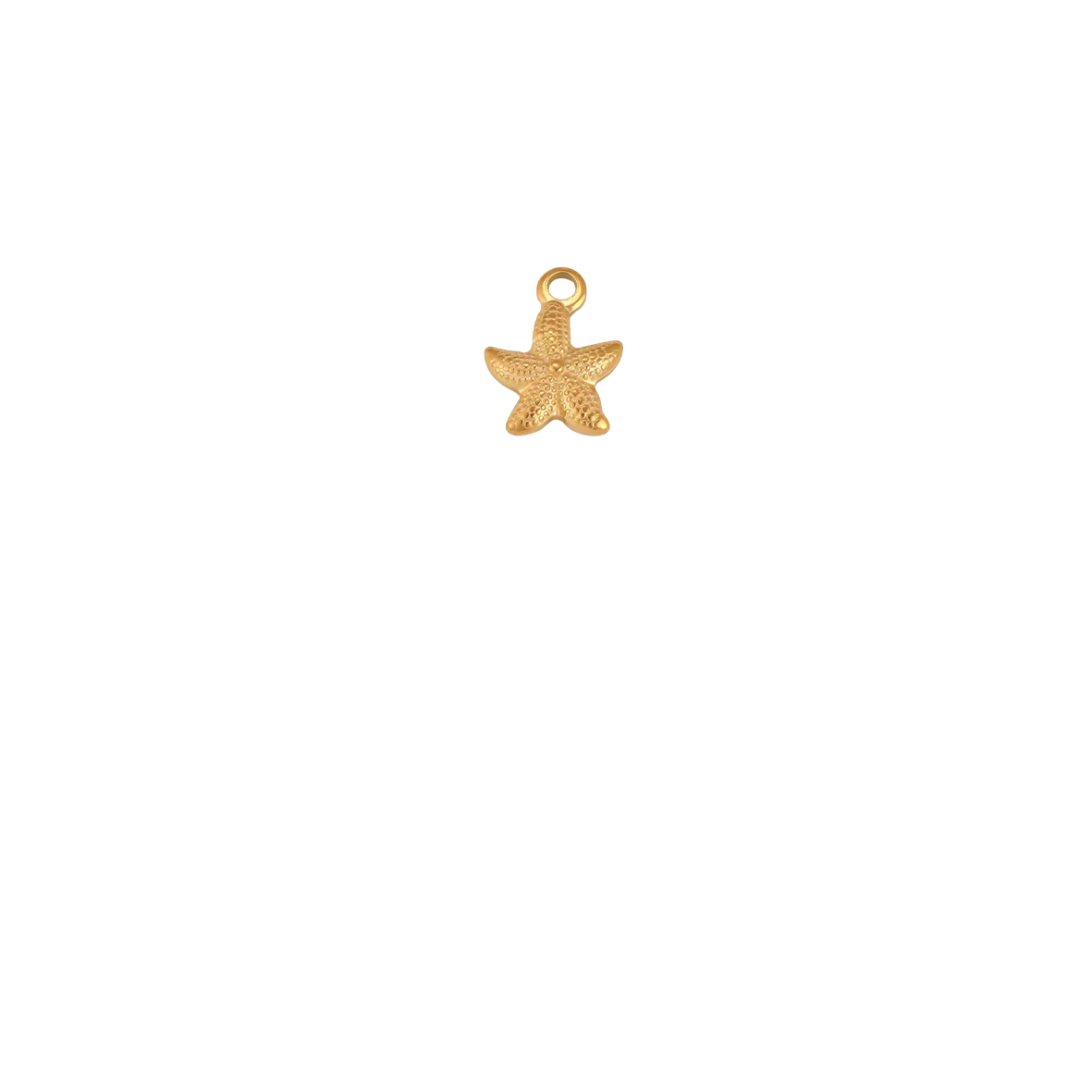 Étoile de mer mini