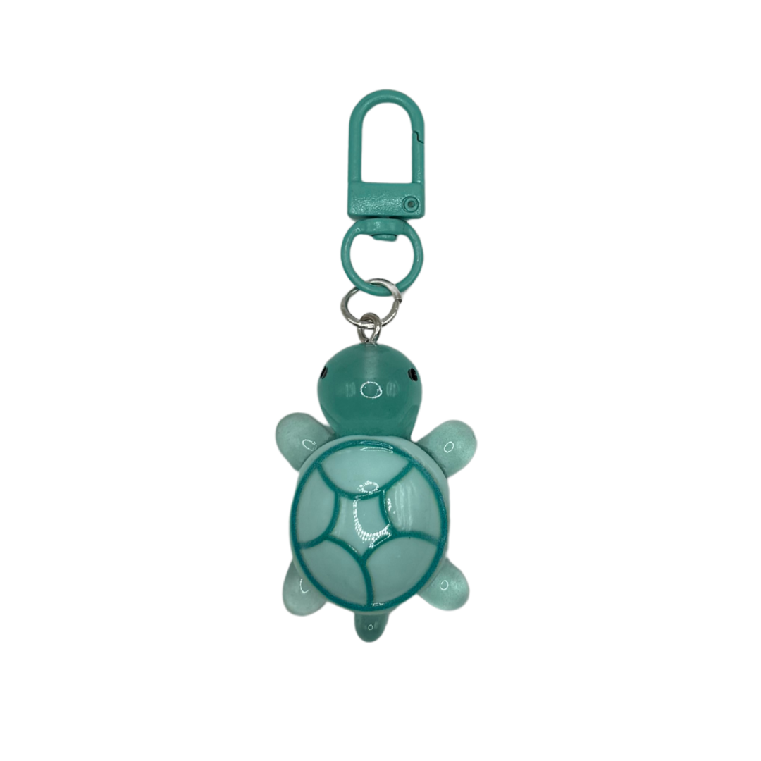 Tortue turquoise