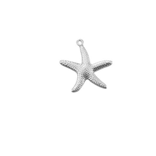 Étoile de mer - Argent