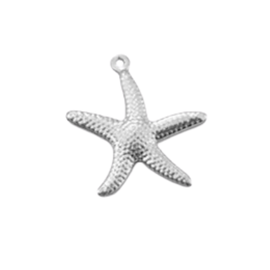 Étoile de mer texturée - Argent