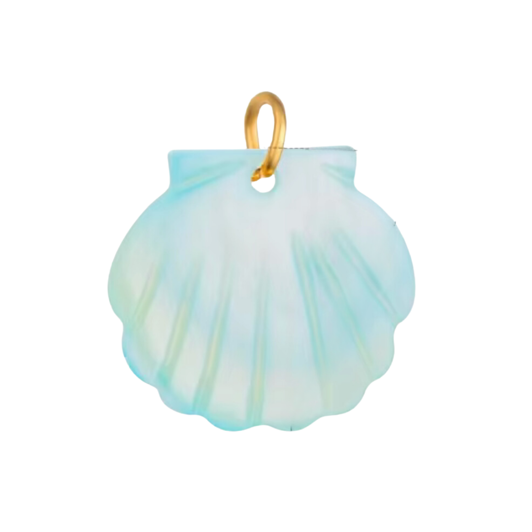 Coquillage bleu