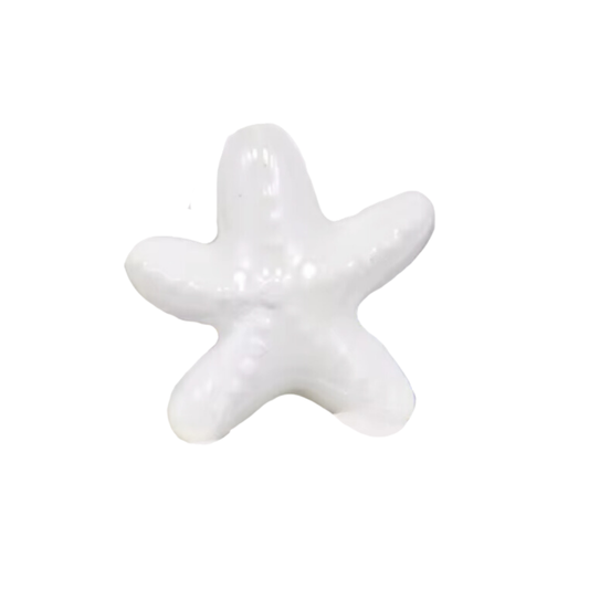 Étoile de mer blanche - Céramique