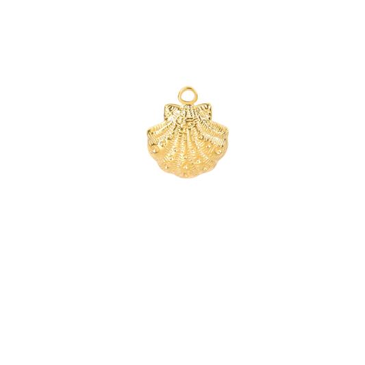 Coquillage - Or