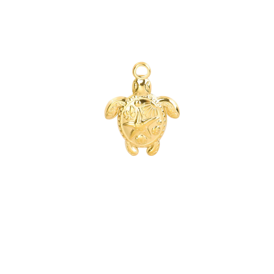 Tortue - Or