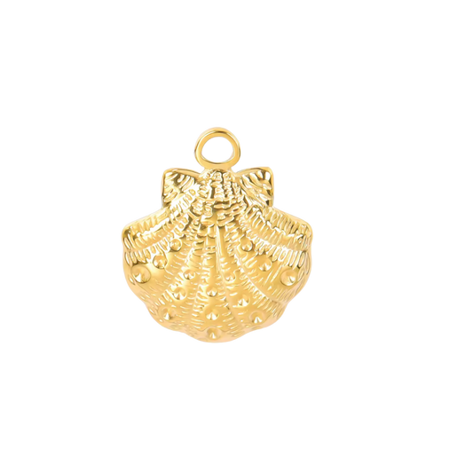 Coquillage - Or