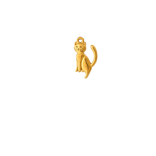Chat - Or