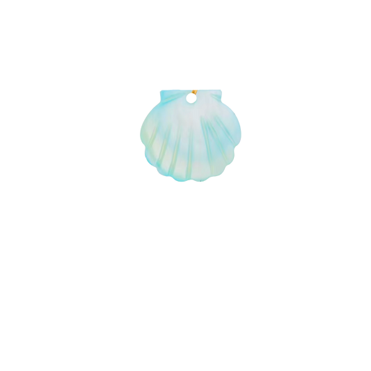 Coquillage bleu