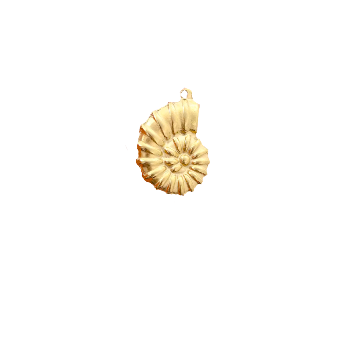 Coquillage - Or