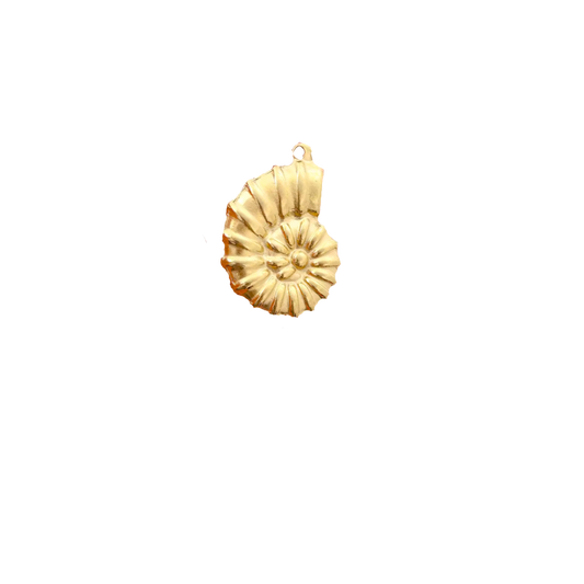 Coquillage - Or