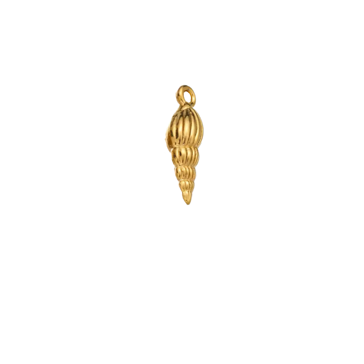 Coquillage - Or