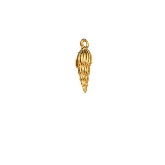 Coquillage - Or