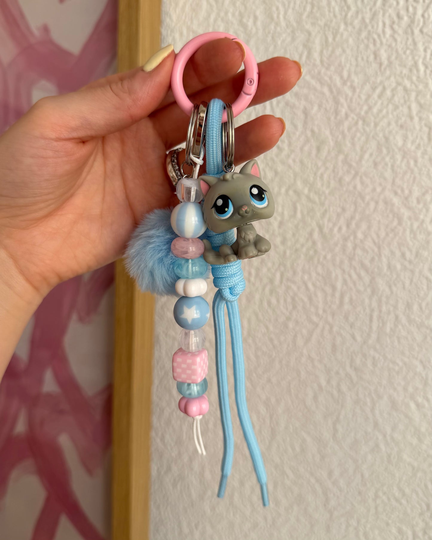 Grigri - Chaton gris